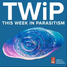 TWiP Podcast Icon