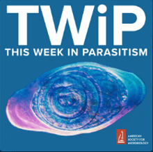 TWiP Podcast Icon