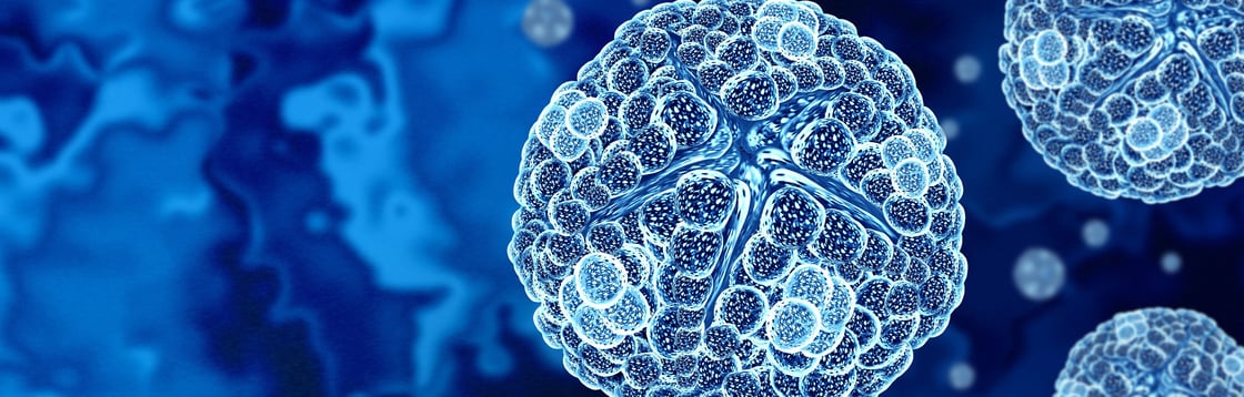 Chikungunya virus -2227018273