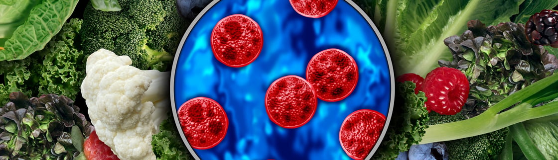 cyclospora iStock-2286316509